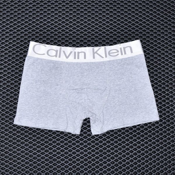 Men's briefs Calvin Klein Gray art 1002