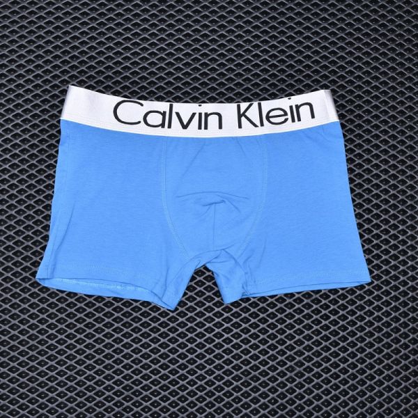 Men's briefs Calvin Klein Blue art 1013