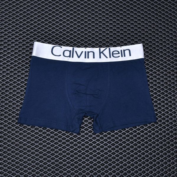 Men's briefs Calvin Klein Blue art 2235