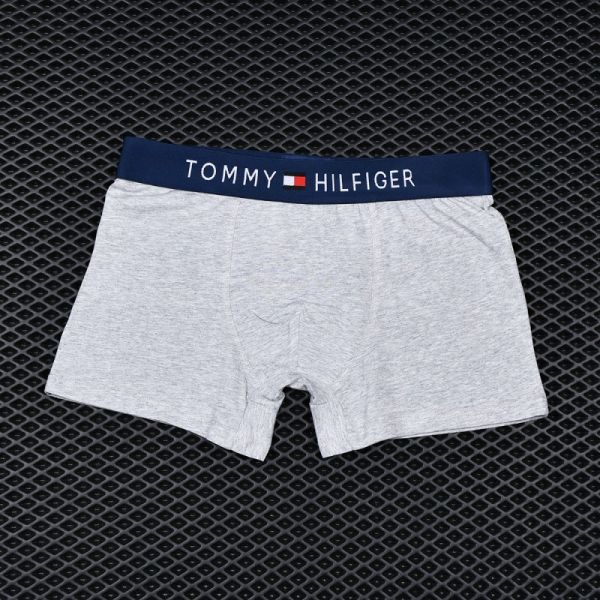 Men's briefs Tommy Hilfiger Gray art 1032