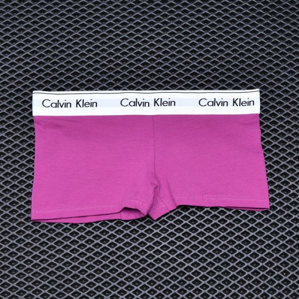 Women's briefs Calvin Klein Purple art 1078