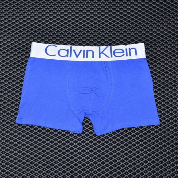 Men's briefs Calvin Klein Blue art 2238