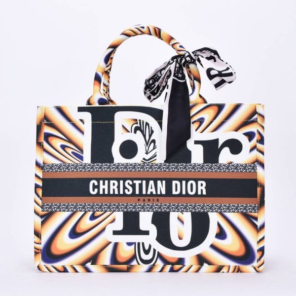 Dior bag art 3517