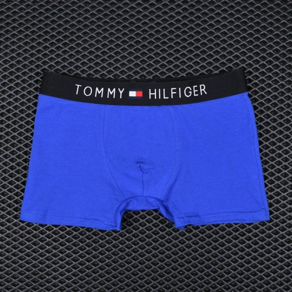 Men's briefs Tommy Hilfiger Blue art 2241