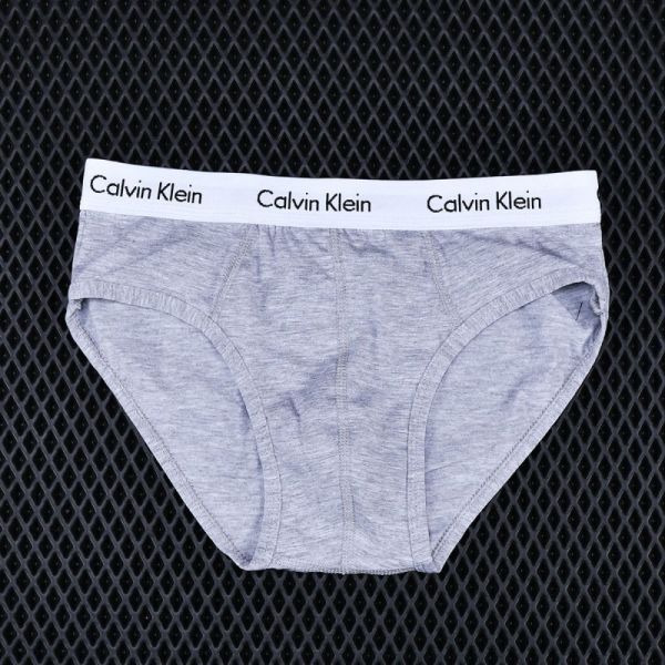 Men's briefs Calvin Klein art 1525